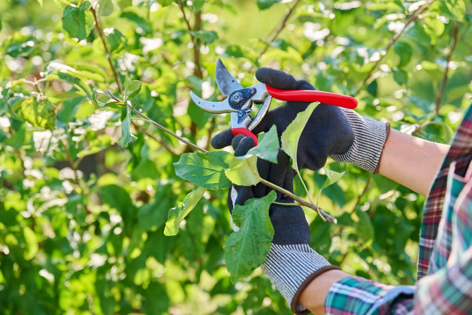 TOPスライド画像02