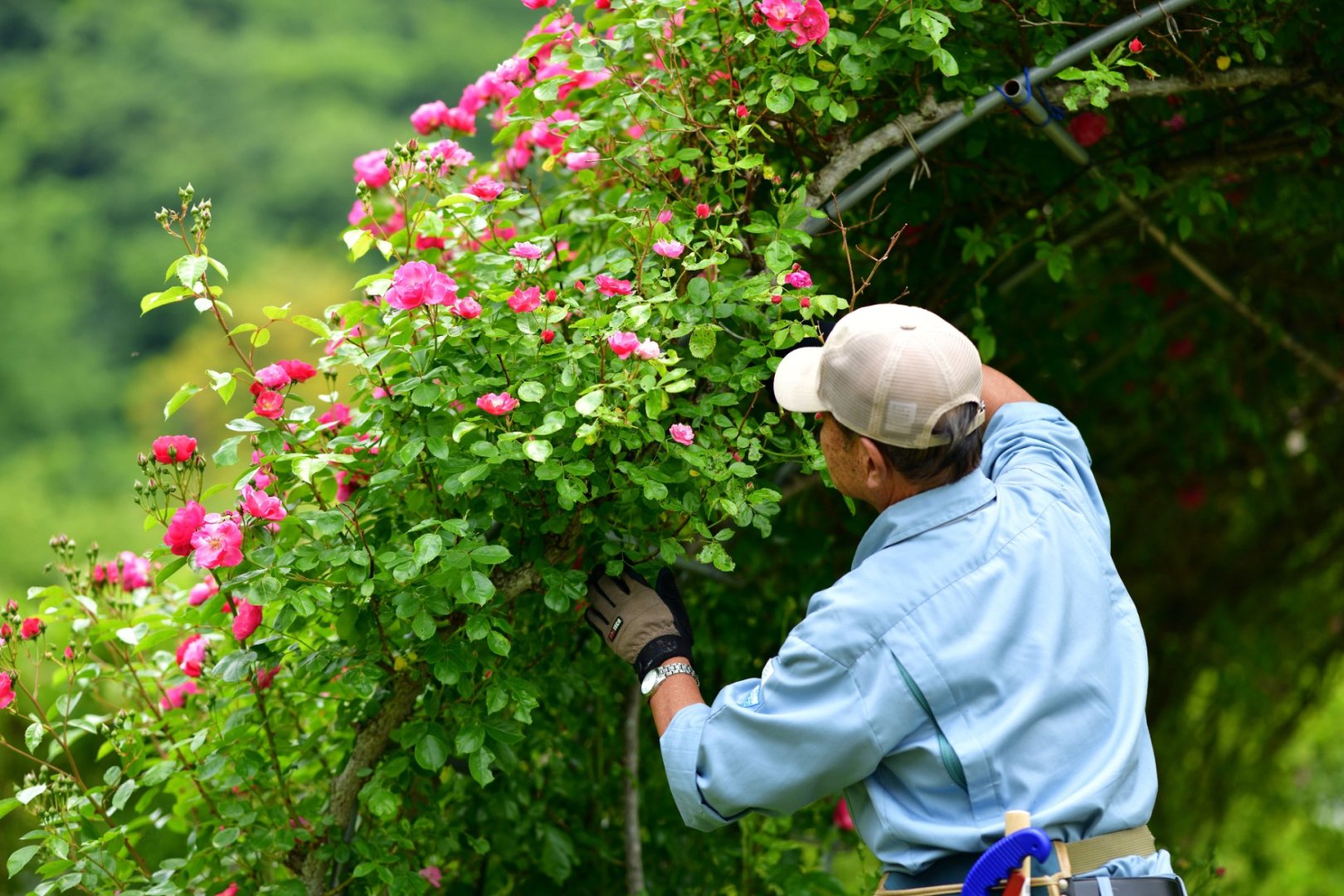TOPスライド画像01